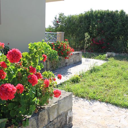 Aggelina S Apartments Xi Beach Exterior photo