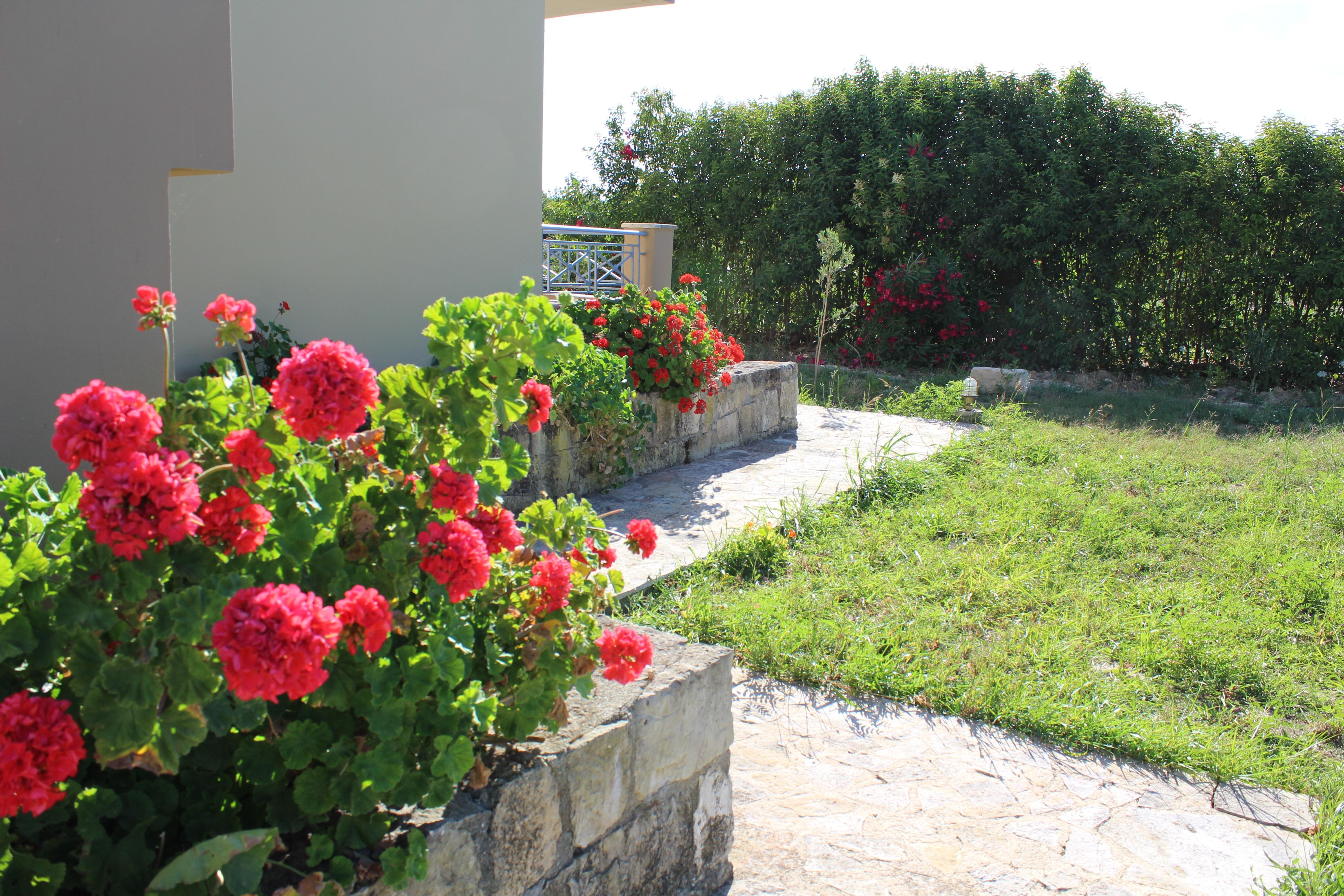 Aggelina S Apartments Xi Beach Exterior photo